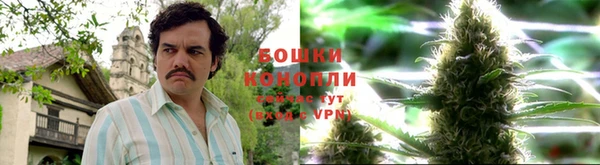мескалин Бронницы